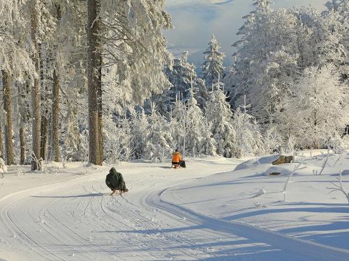 Rodelbahn am Geisskopf nahe Paulas Bauernhof für Familien im Bayerischen Wald Rodelbahn am Geisskopf nahe Paulas Bauernhof für Familien im Bayerischen Wald