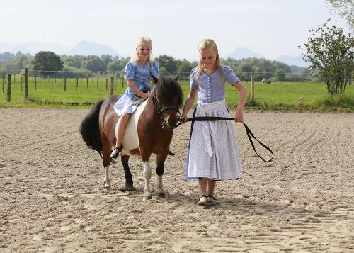 Pony Pedro auf dem Reitplatz