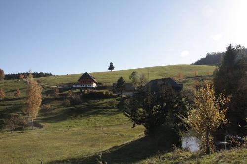 Panoramablick
