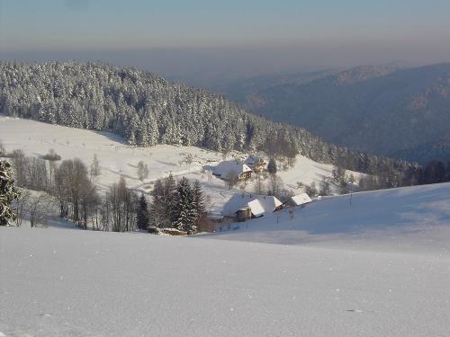 Winter im Paradies