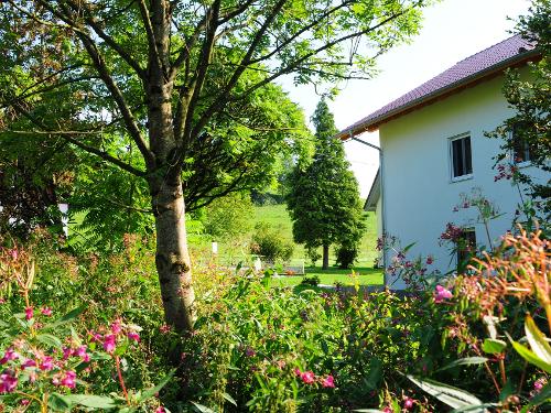 Bachlauf hinter Haus Bachlauf hinter Haus