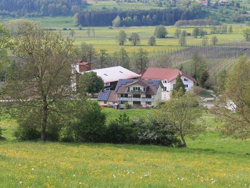 Sicht aus unserer Apfelplantage Sicht aus unserer Apfelplantage