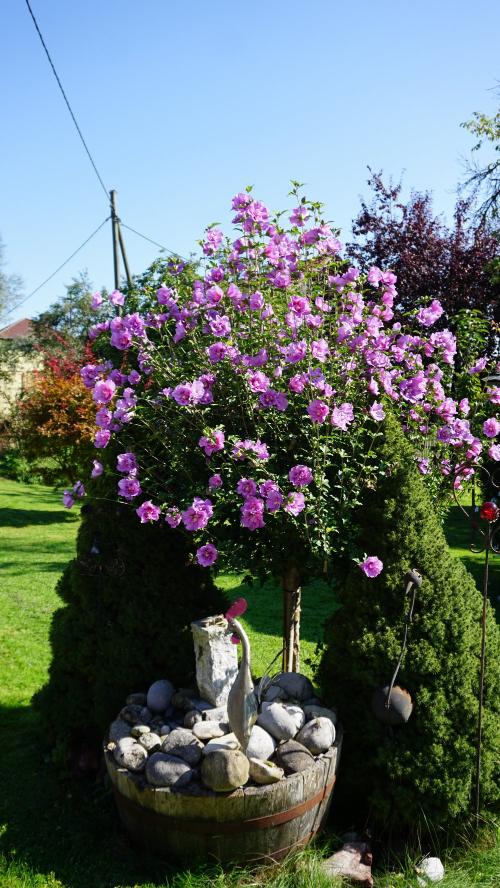dsc02518