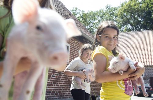 Kindermitferkel