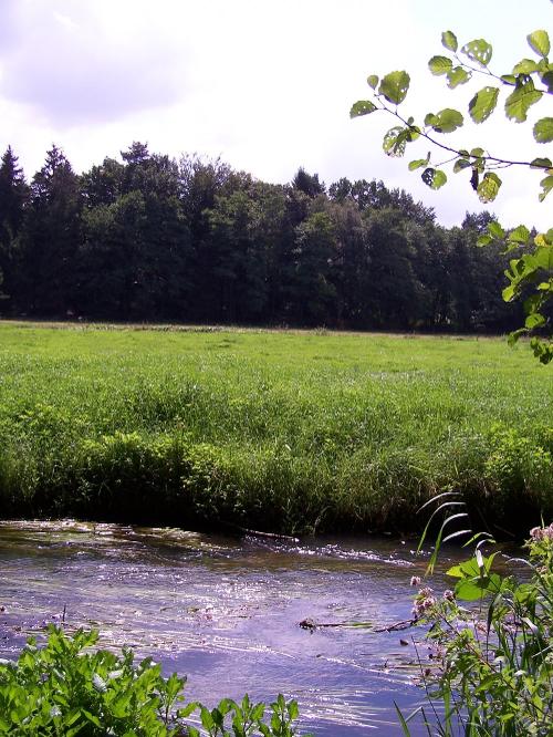 Lehrdewiesen