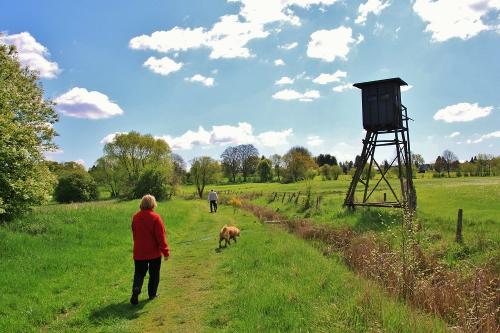 Spaziergang mit dem Hund