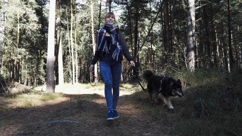 Waldspaziergang mit dem Hund