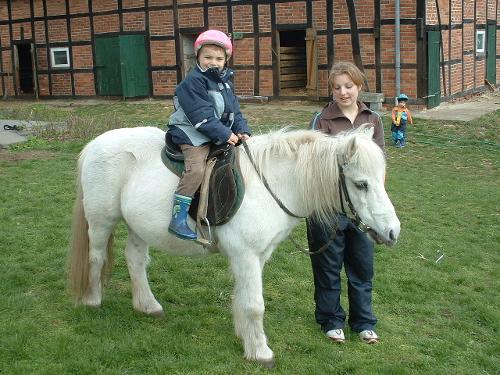 Ponyreiten