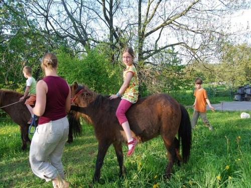 Ponyreiten
