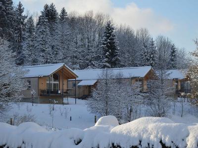 Winter am Chaletberg