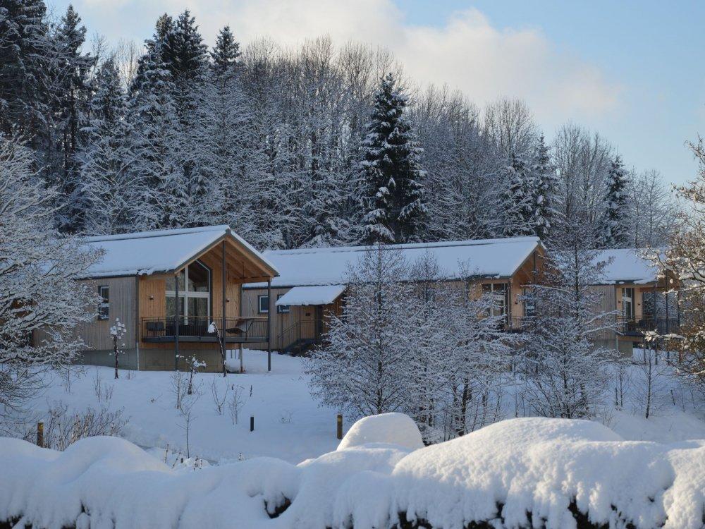 Winter am Chaletberg