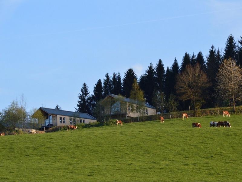 Sommerweide am Chaletberg