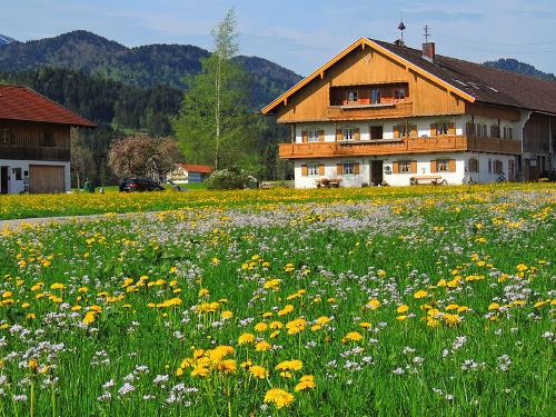 Frühling auf dem Brunnlochnerhof