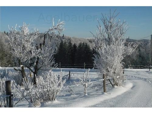 Winterweg