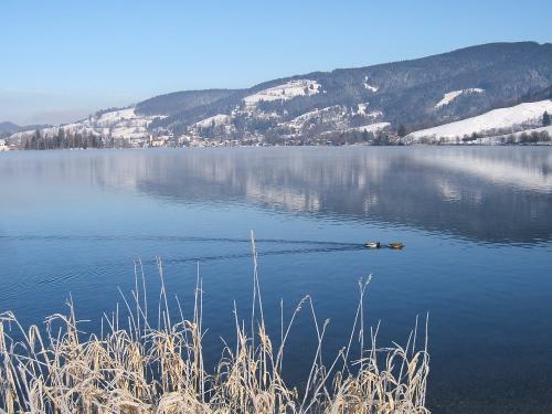 januar2010065