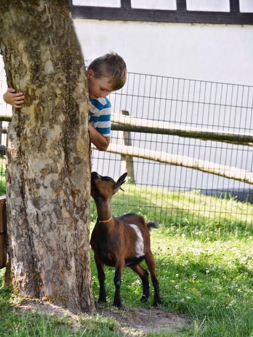 Frieda spielt gerne