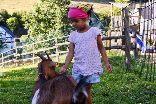 Frieda liebt frisches Gras