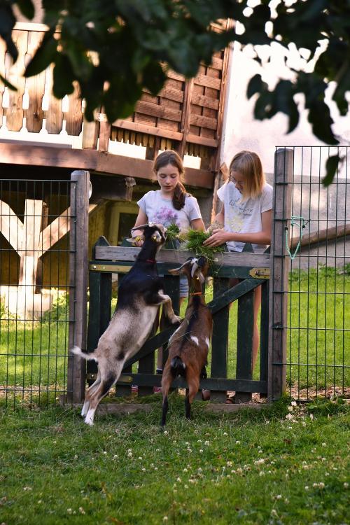 Erna & Frieda