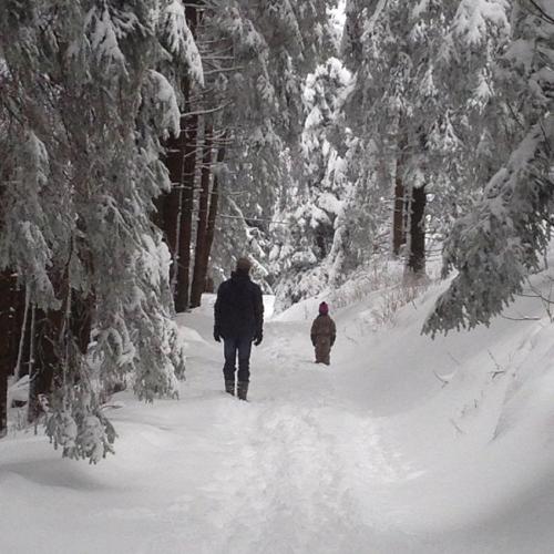 winter1