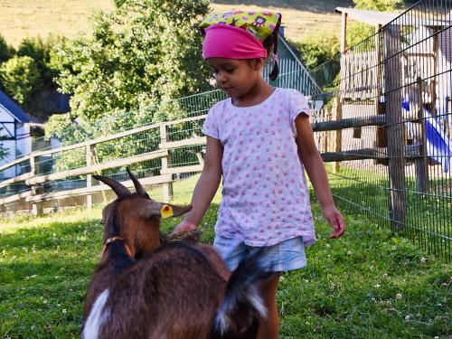 Frieda liebt frisches Gras