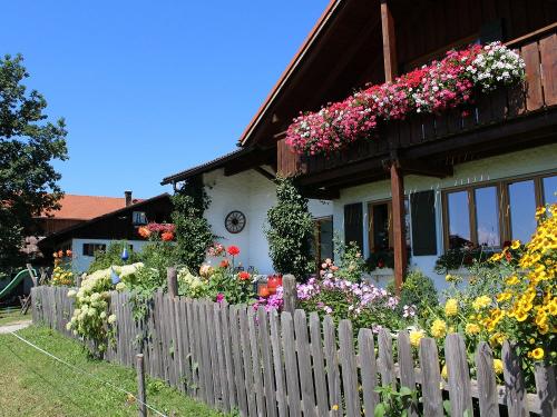 Blick über den Gartenzaun Blick über den Gartenzaun