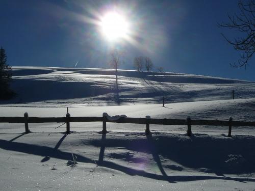Wintertraum