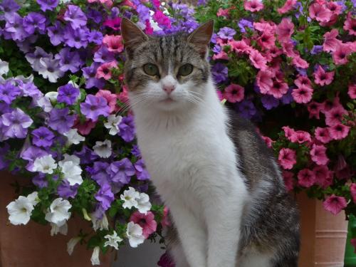  Rocky unser Schmuser