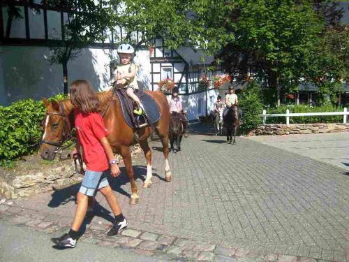 Ponyhof in Milchenbach