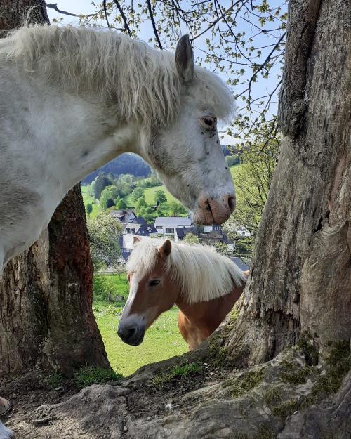 img-20190528-wa0007