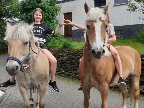 Ausflug mit den Pferden Ausflug mit den Pferden