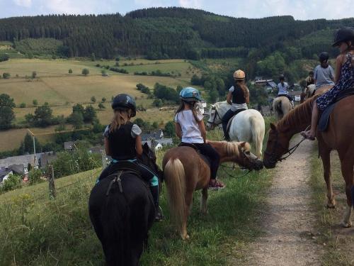 Reitausflug Reitausflug