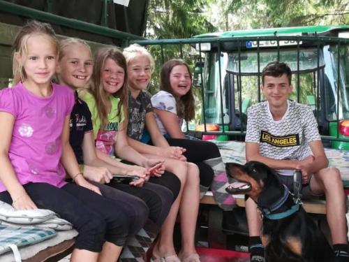 Planwagenfahrt durch Heimische Wälder Planwagenfahrt durch Heimische Wälder