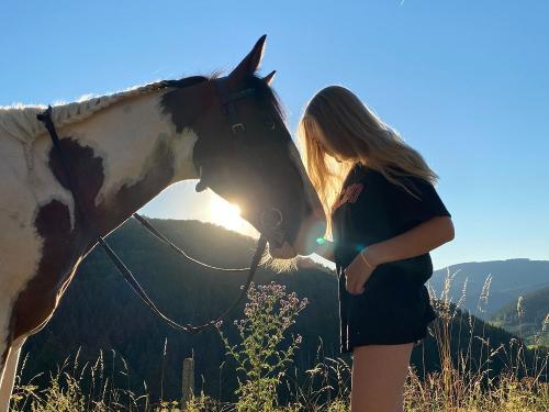 Pferd Alex Pferd Alex