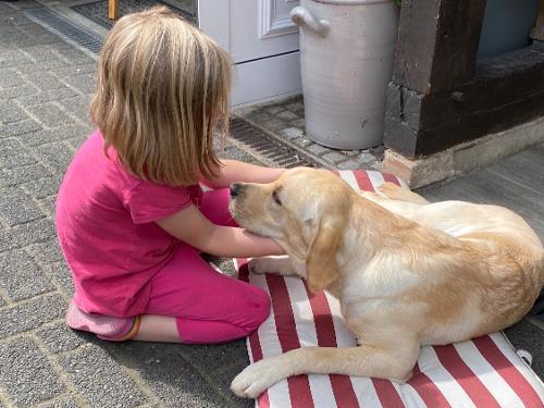 der verwöhnteste Labrador Emma der verwöhnteste Labrador Emma