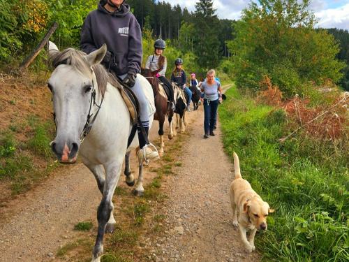 unser Ausritt durch die heimischen Wälder unser Ausritt durch die heimischen Wälder