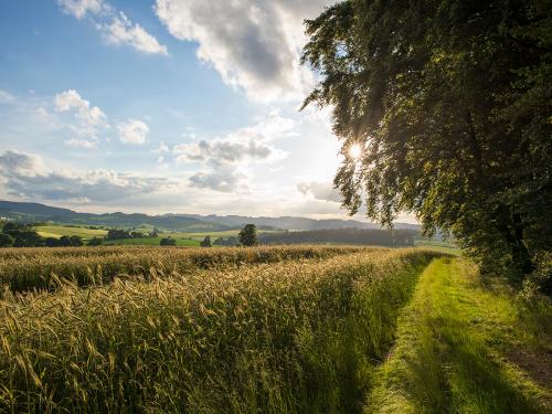 Sauerland