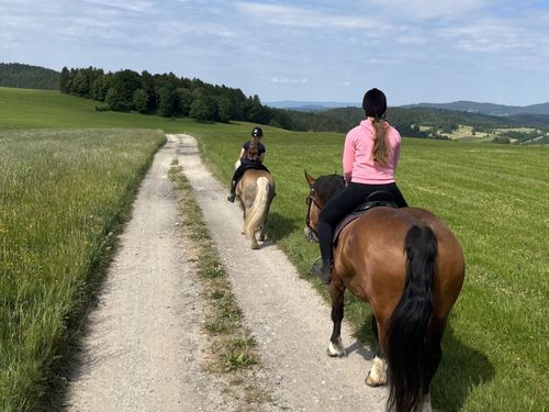 Ausritte mit den großen Pferden