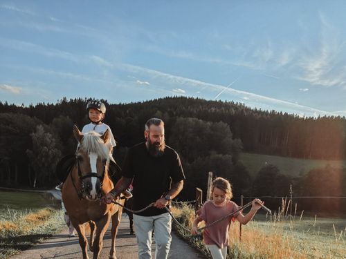 Abendliche Runde mit den Pferden