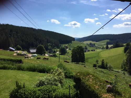 Blick ins das Linachtal