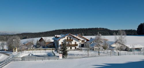 schoppahaislwinter
