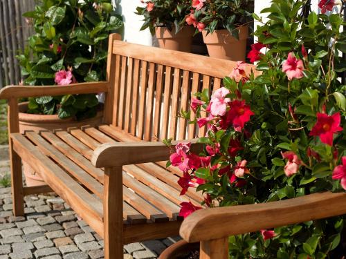 Sommerimpressionen