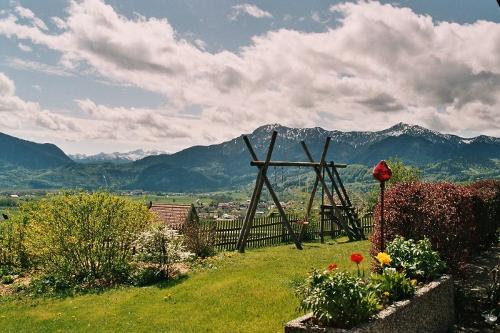 Ausblick