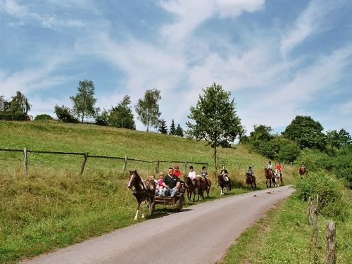 IMAGE0007_29A IMAGE0007_29A