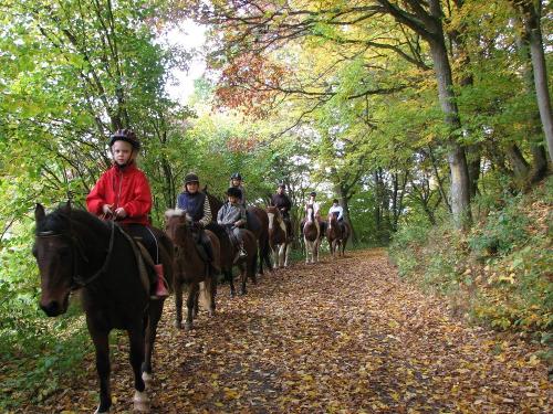 Design ohne Titel Design ohne Titel