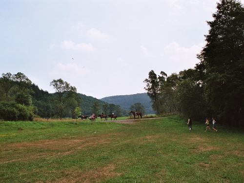 IMAGE0000_36A IMAGE0000_36A