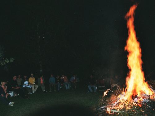 IMAGE0000_36A IMAGE0000_36A