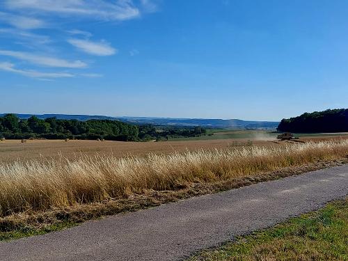 Getreideernte auf dem Ferienhof Lahr an der Mosel