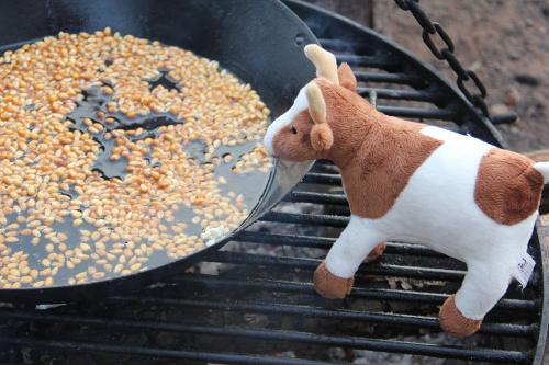 Popcorn machen am Lagerfeuer