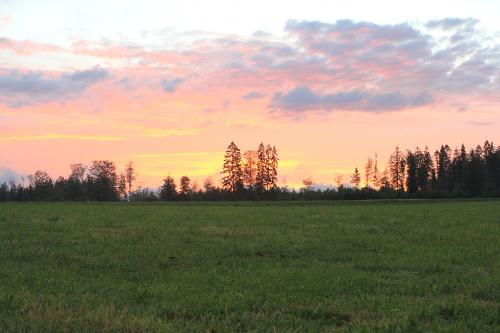 Sonnenuntergang im Wald