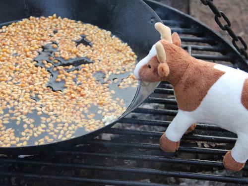 Popcorn machen am Lagerfeuer